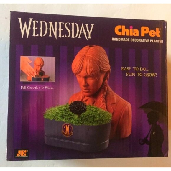 Wednesday Chia Pet Handmade Decorative Planter New•AV - Picture 1 of 8